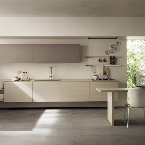 Cucina Moderna Qi in Olmo Kuuki e laccato Grigio Selce di Scavolini